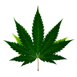 feature icon